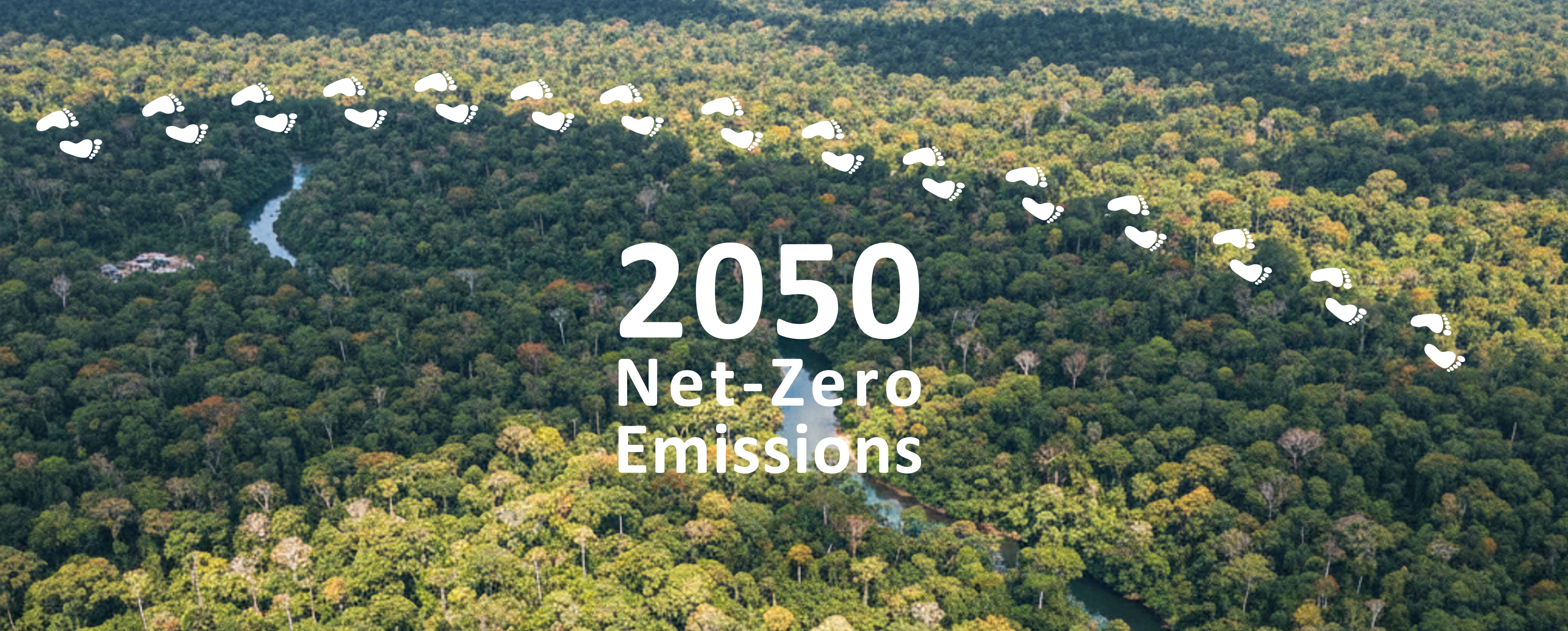 2050 net zero emissions