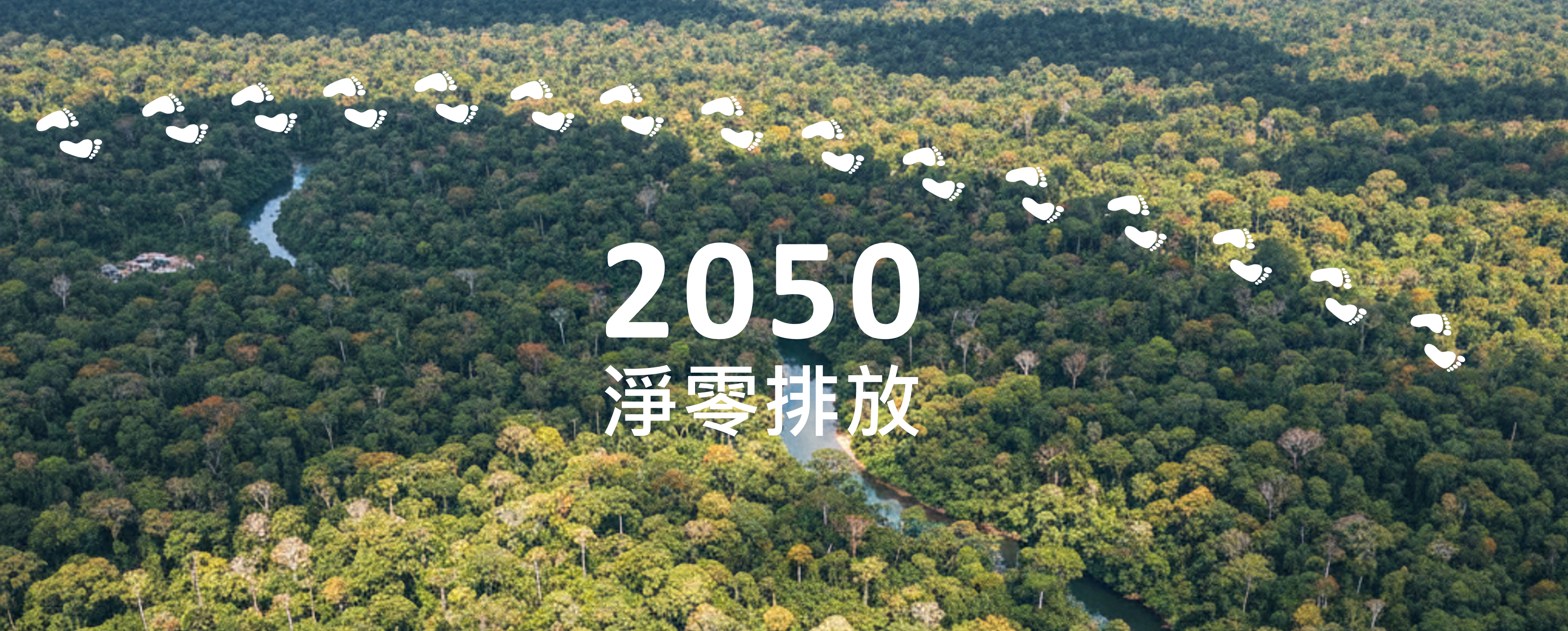 2050 net zero emissions_CN